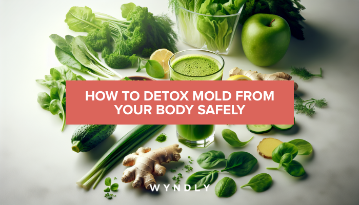 How to Safely Detox Mold From Your Body (2026) | Wyndly How to Safely Detox Mold From Your Body (2026) | Wyndly