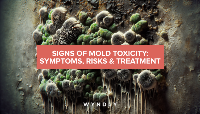 Mold Toxicity: Signs, Symptoms, and Treatment Options (2026) | Wyndly