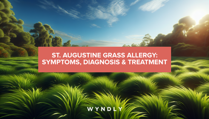 St. Augustine Grass Allergy: Identifying and Treating Symptoms 2025 ...