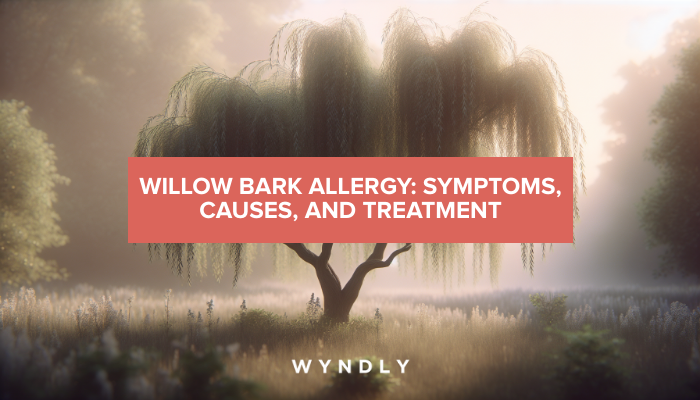An informative graphic about willow bark allergy