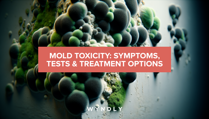 Mold Toxicity: Symptoms, Testing, and Treatment Options (2026) | Wyndly Mold Toxicity: Symptoms, Testing, and Treatment Options (2026) | Wyndly