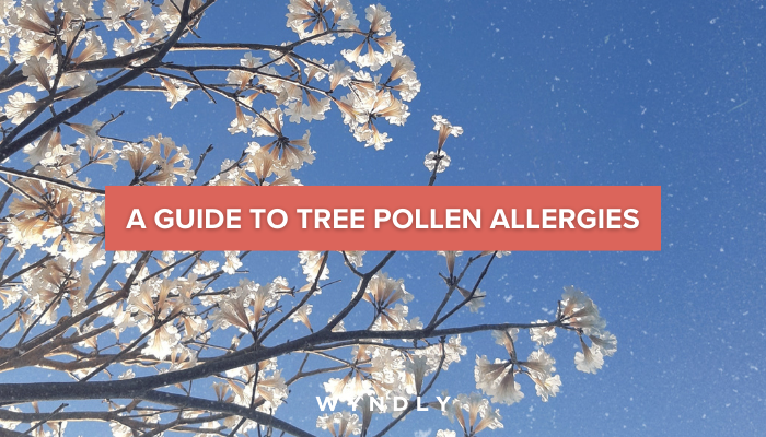 Tree Pollen Allergies: Causes, Symptoms & Treatment 2025 & Wyndly 