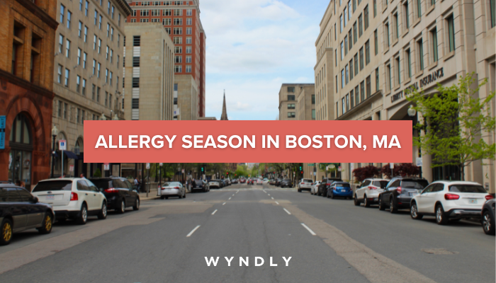 When Is Boston Allergy Season? Start, Peak, and End (2024) | Wyndly