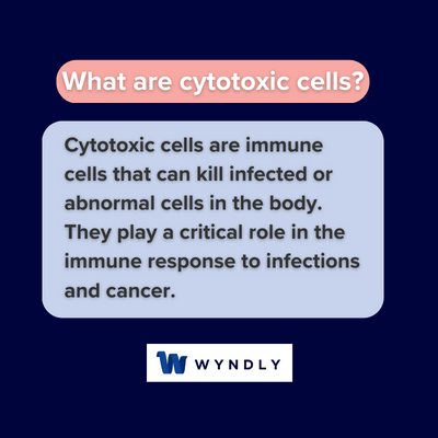 t cytotoxic cells definition