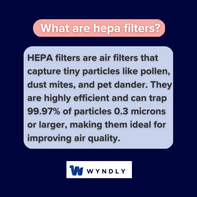 The Science behind Hepa Filters And Asthma Relief: Breathe Easier
