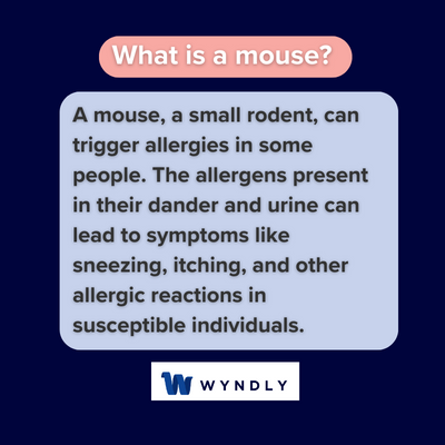 Rodent Allergies: Symptoms And Causes Unveiled