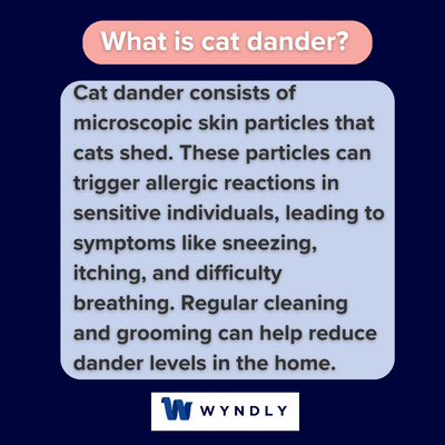 Cat Dander Definition What Is Cat Dander 2024 Wyndly