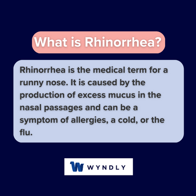 Rhinorrhea definition deals