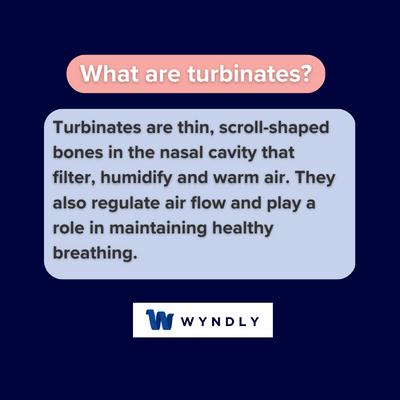 Turbinates Definition What Are Turbinates 2024 Wyndly