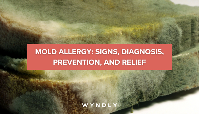 Foods High in Mold (What to Avoid if You Have a Mold Allergy