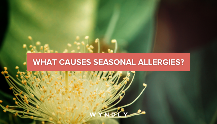 Allergy Season Causes and Treatments (2024) & Wyndly 