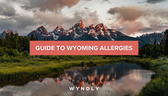 Wyoming Allergy Guide: Symptoms and Treatment 2025 