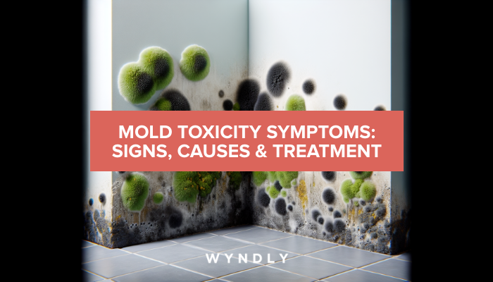 Mold Toxicity Symptoms: Signs, Causes & Treatment (2026) | Wyndly Mold Toxicity Symptoms: Signs, Causes & Treatment (2026) | Wyndly