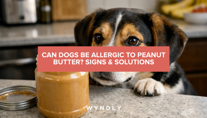Can Dogs Be Allergic to Peanut Butter? (2026) & Wyndly