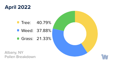 Albany, NY Monthly Pollen Breakdown