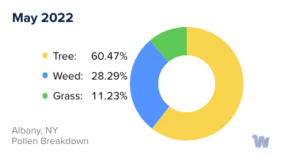 Albany, NY Monthly Pollen Breakdown