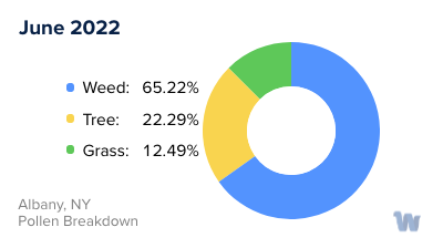 Albany, NY Monthly Pollen Breakdown