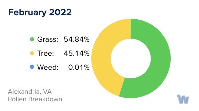 Alexandria, VA Monthly Pollen Breakdown