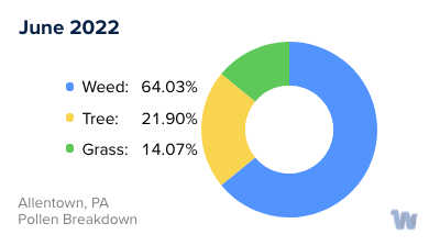 Allentown, PA Monthly Pollen Breakdown