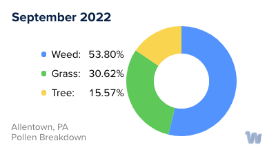 Allentown, PA Monthly Pollen Breakdown