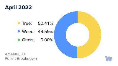 Amarillo, TX Monthly Pollen Breakdown
