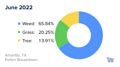 Amarillo, TX Monthly Pollen Breakdown