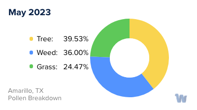 Amarillo, TX Monthly Pollen Breakdown