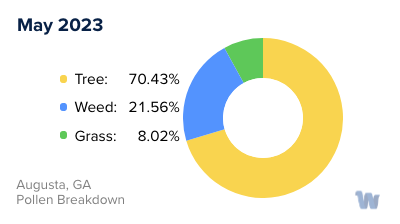 Augusta, GA Monthly Pollen Breakdown