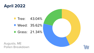 Augusta, ME Monthly Pollen Breakdown