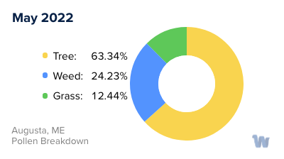 Augusta, ME Monthly Pollen Breakdown