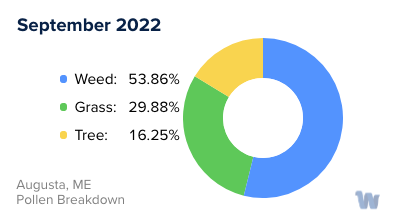 Augusta, ME Monthly Pollen Breakdown