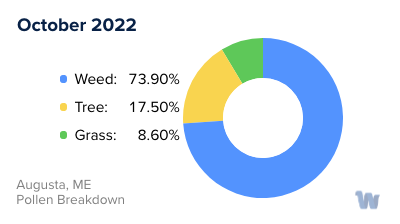 Augusta, ME Monthly Pollen Breakdown