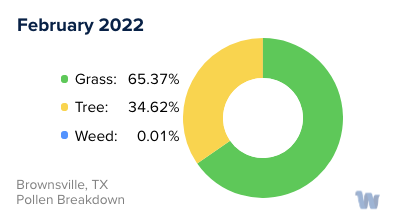 Brownsville, TX Monthly Pollen Breakdown