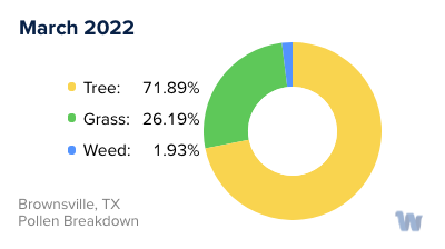 Brownsville, TX Monthly Pollen Breakdown