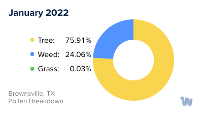 Brownsville, TX Monthly Pollen Breakdown