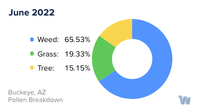 Buckeye, AZ Monthly Pollen Breakdown