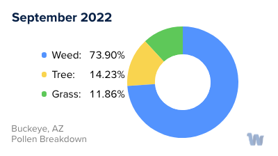 Buckeye, AZ Monthly Pollen Breakdown