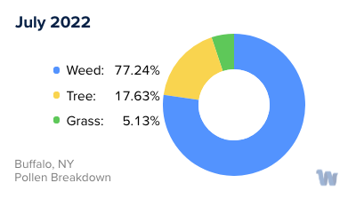 Buffalo, NY Monthly Pollen Breakdown