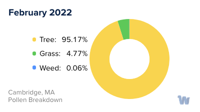 Cambridge, MA Monthly Pollen Breakdown