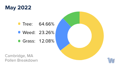 Cambridge, MA Monthly Pollen Breakdown