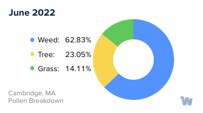 Cambridge, MA Monthly Pollen Breakdown
