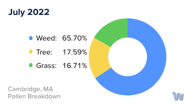 Cambridge, MA Monthly Pollen Breakdown