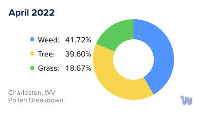 Charleston, WV Monthly Pollen Breakdown