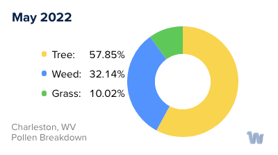Charleston, WV Monthly Pollen Breakdown