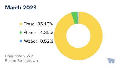 Charleston, WV Monthly Pollen Breakdown
