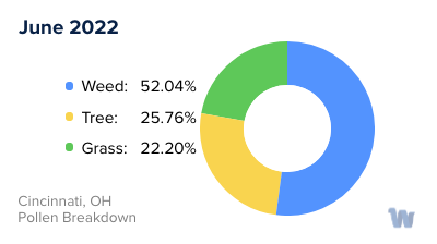 Cincinnati, OH Monthly Pollen Breakdown