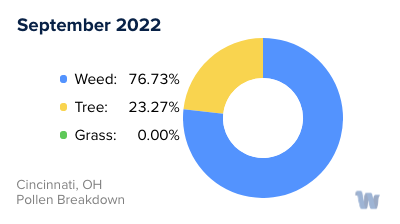 Cincinnati, OH Monthly Pollen Breakdown