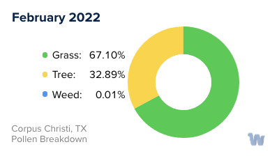 Corpus Christi, TX Monthly Pollen Breakdown