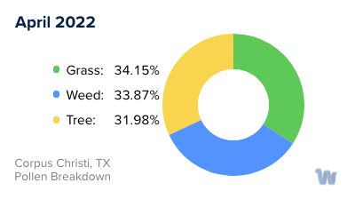 Corpus Christi, TX Monthly Pollen Breakdown