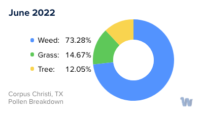 Corpus Christi, TX Monthly Pollen Breakdown